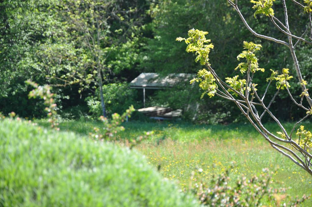 La Bergerie Bed and Breakfast Pollionnay Buitenkant foto