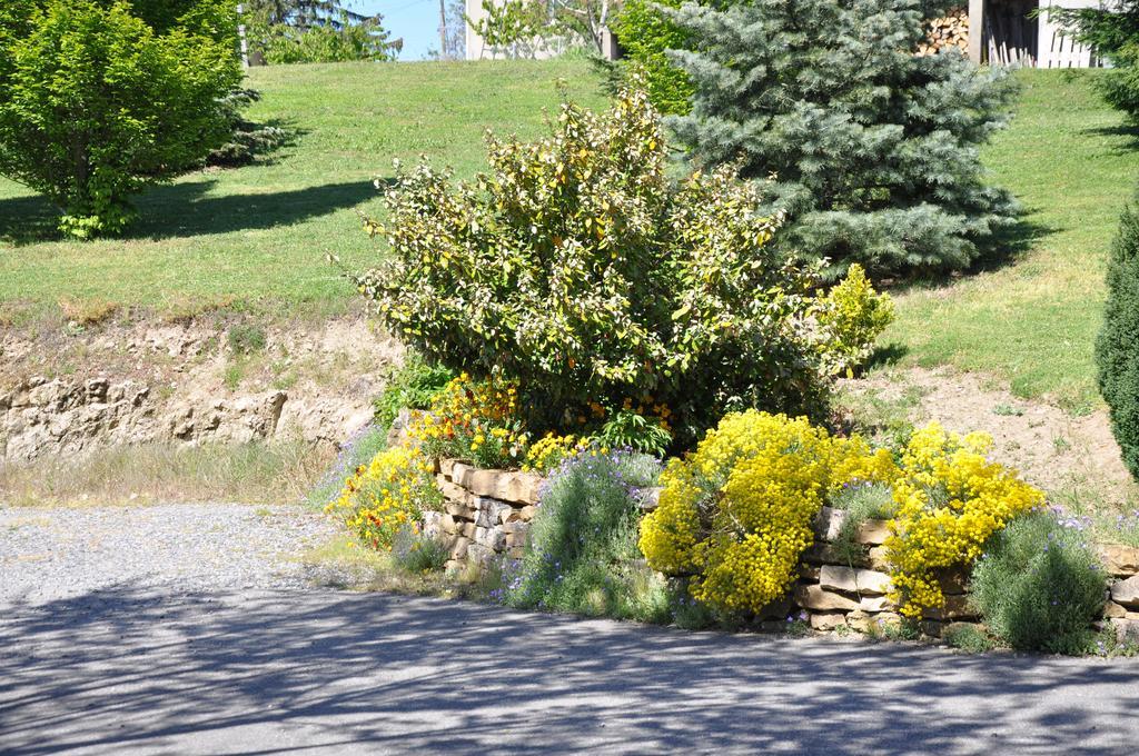 La Bergerie Bed and Breakfast Pollionnay Buitenkant foto