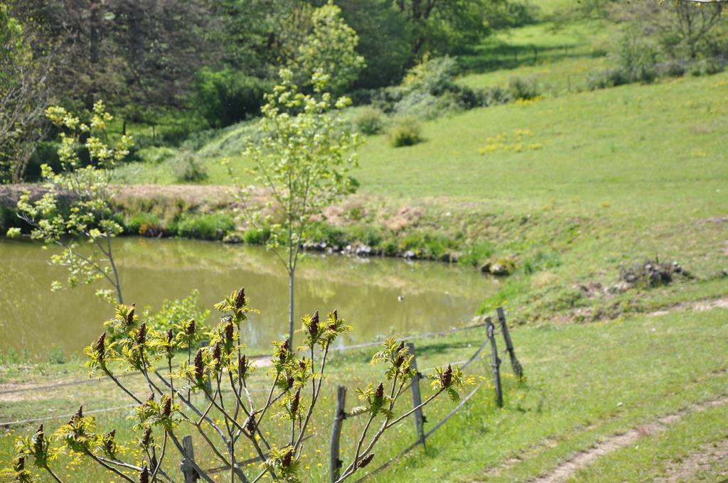 La Bergerie Bed and Breakfast Pollionnay Buitenkant foto