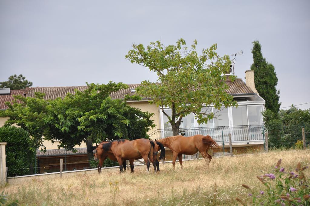 La Bergerie Bed and Breakfast Pollionnay Buitenkant foto