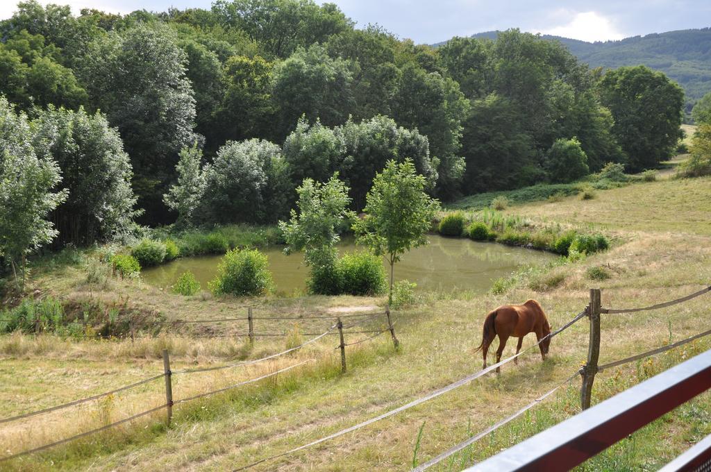 La Bergerie Bed and Breakfast Pollionnay Buitenkant foto